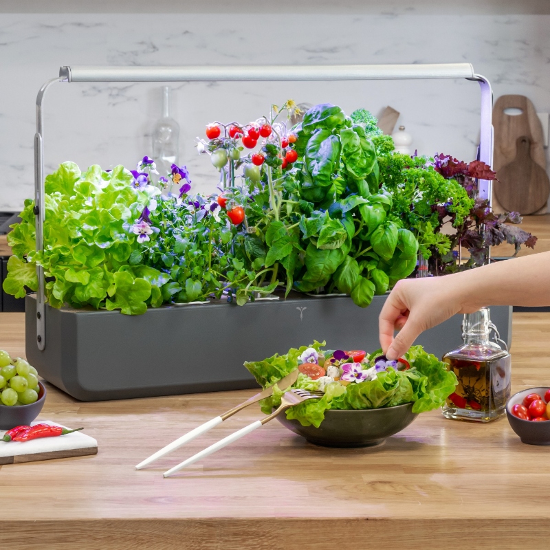 Gourmet Indoor: the most generous of Véritable vegetable gardens!